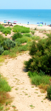 Sentier direct du camping vers l'éco-plage de serignan