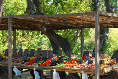 Marché bio à la supérette du camping